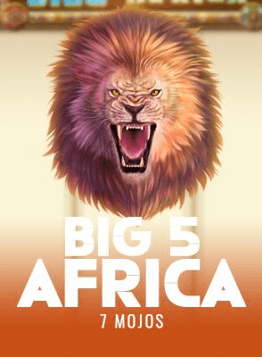 Big 5 Africa
