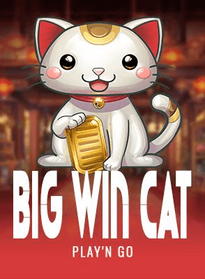 Big Win Cat