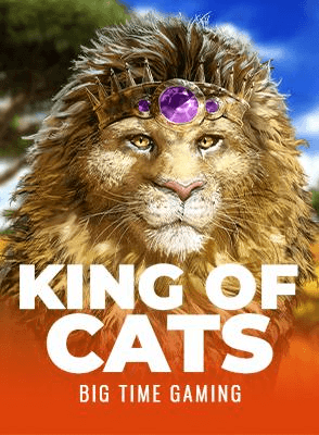 King of Cats
