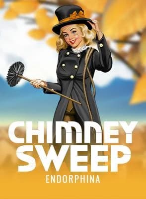 Chimney Sweep