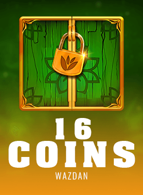 16 Coins