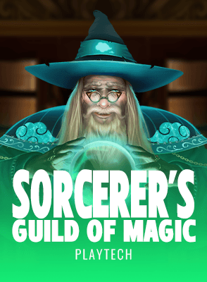 Sorcerer's Guild of Magic