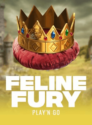 Feline Fury