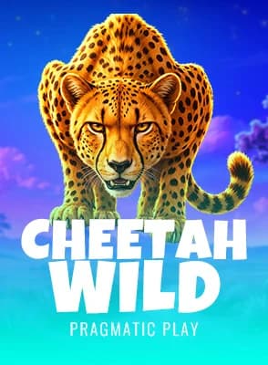 Cheetah Wild