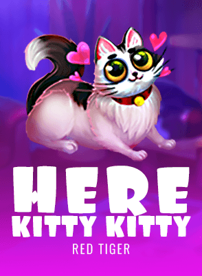 Here Kitty Kitty