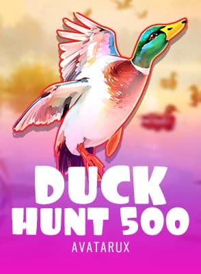 Duck Hunt 500