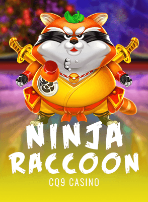 Ninja Raccoon