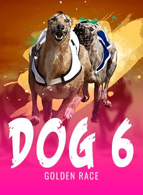 Dog 6
